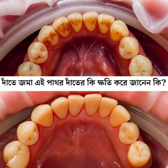 WhatsApp Image 2026-09-21 at 9.59.45 PM